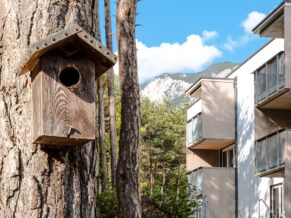 Vogelhaus aus Holz am Baustamm, im Hintergrund ein Wohnhaus mit Balkon